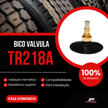 BICO VALVULA PARA CAMARA DE AR TR218A ROTTA